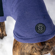 Catalyst Colorblock Dog Sweater – Sweaters & Hoodies by GF Pet.us