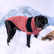 Catalyst Colorblock Dog Sweater – Sweaters & Hoodies by GF Pet.us