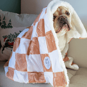 Check Me Out Dog Blanket – Dog Blankets by EverWoof