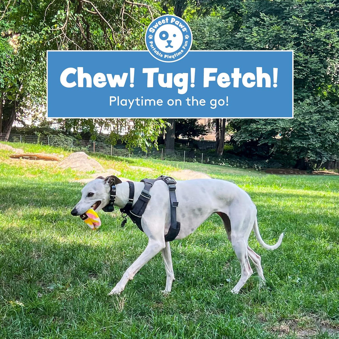 Chunky Dog Teether Chew Toy - Blueberry Smoothie – Dog Toys by Sweet Paws