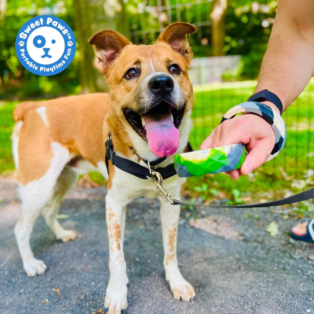 Chunky Dog Teether Chew Toy - Blueberry Smoothie – Dog Toys by Sweet Paws