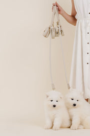 City Walk Dog Leash Kit – Dog Leashes by Pupwell