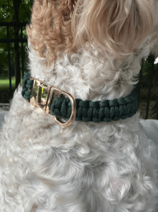 Cobra Braid in Emerald Green - Handmade Dog Collar – Dog Collars by Pawsh Pup Co.