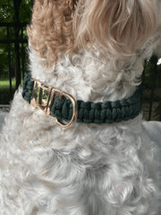 Cobra Braid in Emerald Green - Handmade Dog Collar – Dog Collars by Pawsh Pup Co.