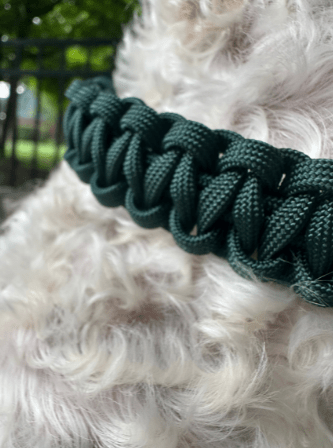 Cobra Braid in Emerald Green - Handmade Dog Collar – Dog Collars by Pawsh Pup Co.