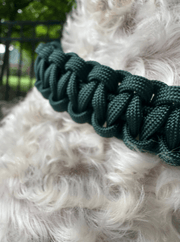 Cobra Braid in Emerald Green - Handmade Dog Collar – Dog Collars by Pawsh Pup Co.