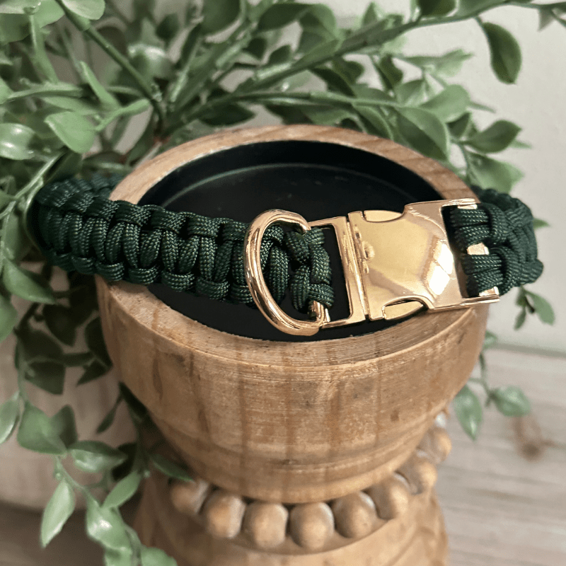 Cobra Braid in Emerald Green - Handmade Dog Collar – Dog Collars by Pawsh Pup Co.