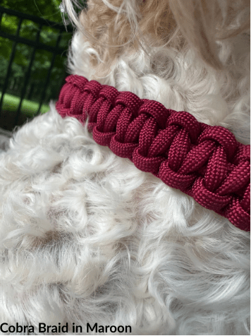 Cobra Braid in Maroon Handmade Dog Collar – Dog Collars by Pawsh Pup Co.