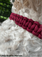 Cobra Braid in Maroon Handmade Dog Collar – Dog Collars by Pawsh Pup Co.