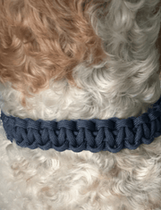 Cobra Braid in Navy Blue - Handmade Dog Collar – Dog Collars by Pawsh Pup Co.