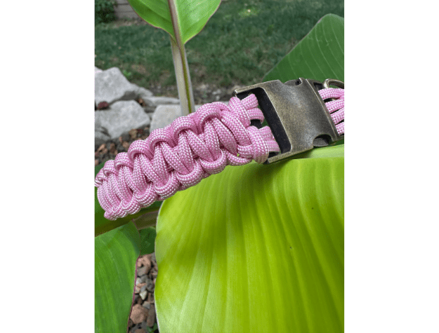 Cobra Braid in Pink & White Stripes - Handmade Dog Collar – Dog Collars by Pawsh Pup Co.