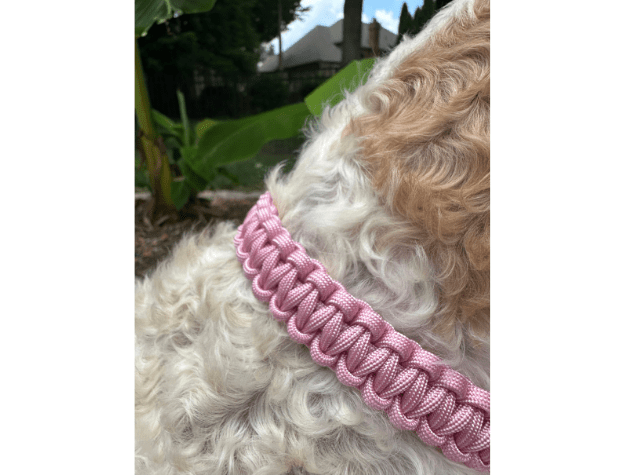 Cobra Braid in Pink & White Stripes - Handmade Dog Collar – Dog Collars by Pawsh Pup Co.