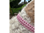 Cobra Braid in Pink & White Stripes - Handmade Dog Collar – Dog Collars by Pawsh Pup Co.