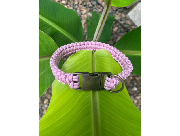 Cobra Braid in Pink & White Stripes - Handmade Dog Collar – Dog Collars by Pawsh Pup Co.