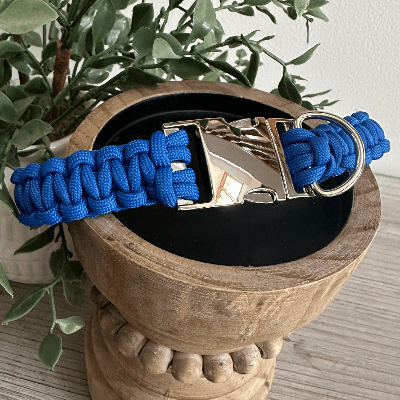 Cobra Braid in Royal Blue - Handmade Dog Collar – Dog Collars by Pawsh Pup Co.