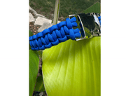 Cobra Braid in Royal Blue - Handmade Dog Collar – Dog Collars by Pawsh Pup Co.