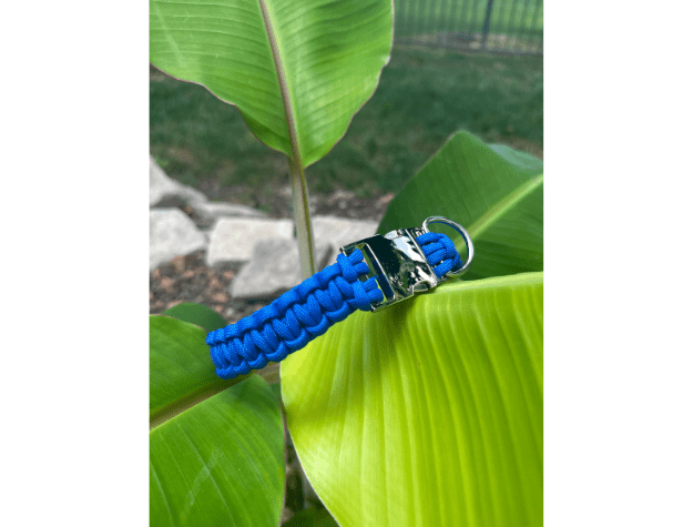 Cobra Braid in Royal Blue - Handmade Dog Collar – Dog Collars by Pawsh Pup Co.