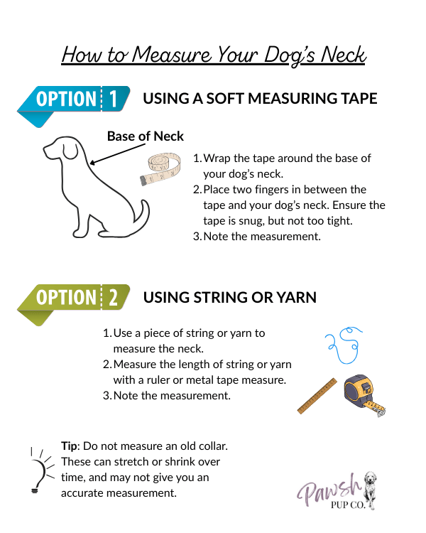 Cobra Braid in Tan - Handmade Dog Collar – Dog Collars by Pawsh Pup Co.