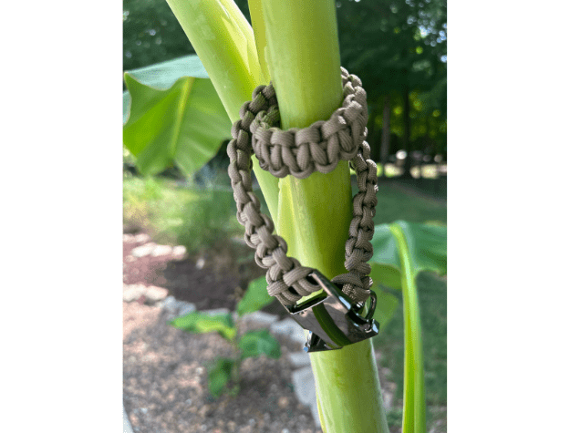 Cobra Braid in Tan - Handmade Dog Collar – Dog Collars by Pawsh Pup Co.