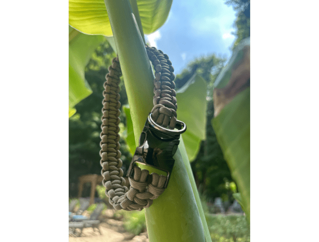 Cobra Braid in Tan - Handmade Dog Collar – Dog Collars by Pawsh Pup Co.