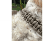 Cobra Braid in Tan - Handmade Dog Collar – Dog Collars by Pawsh Pup Co.