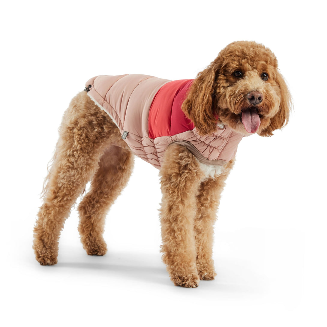 Color Block Dog Puffer Jacket – Jackets & Coats by GF Pet.us