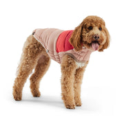 Color Block Dog Puffer Jacket – Jackets & Coats by GF Pet.us