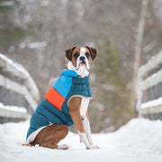 Color Block Dog Puffer Jacket – Jackets & Coats by GF Pet.us