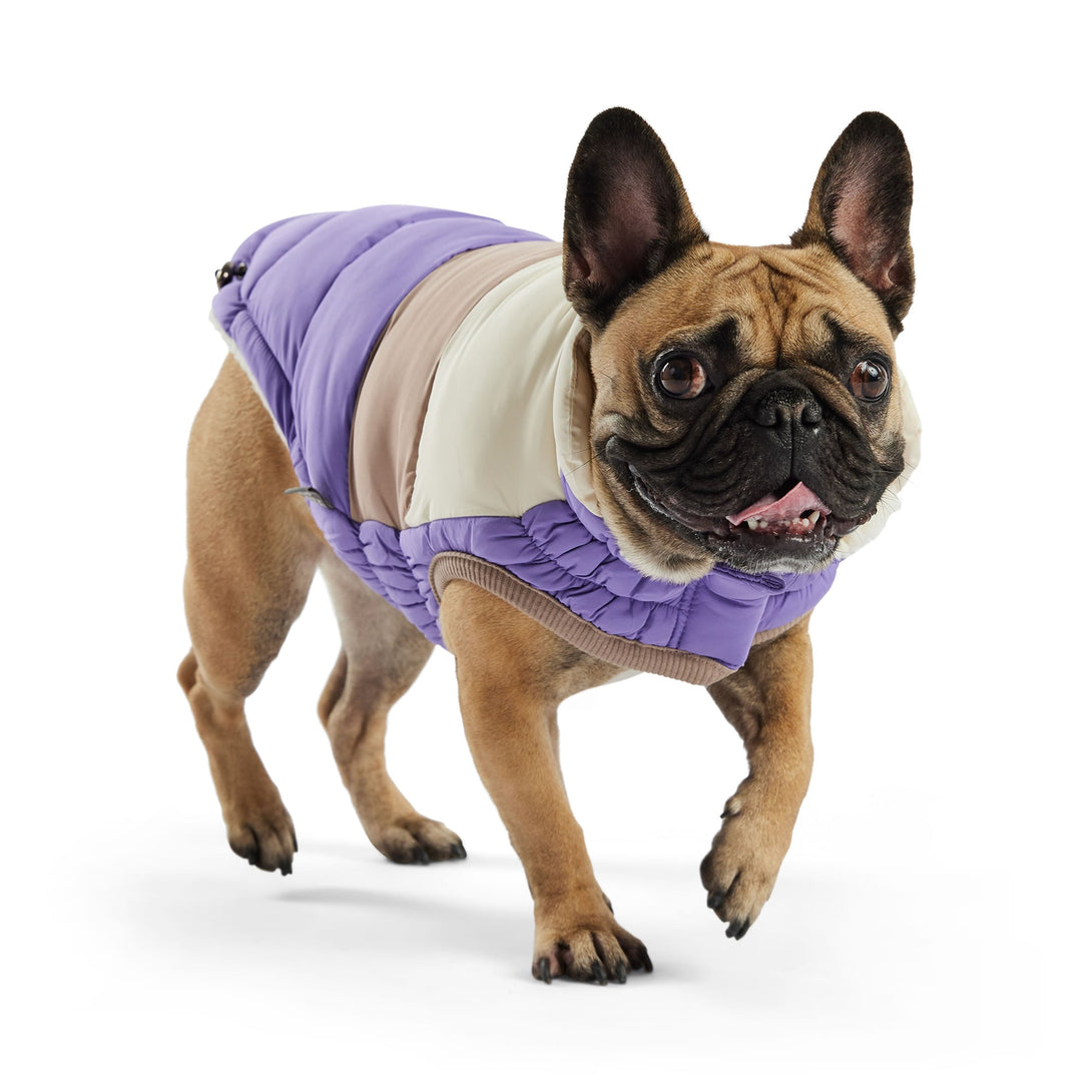 Color Block Dog Puffer Jacket – Jackets & Coats by GF Pet.us