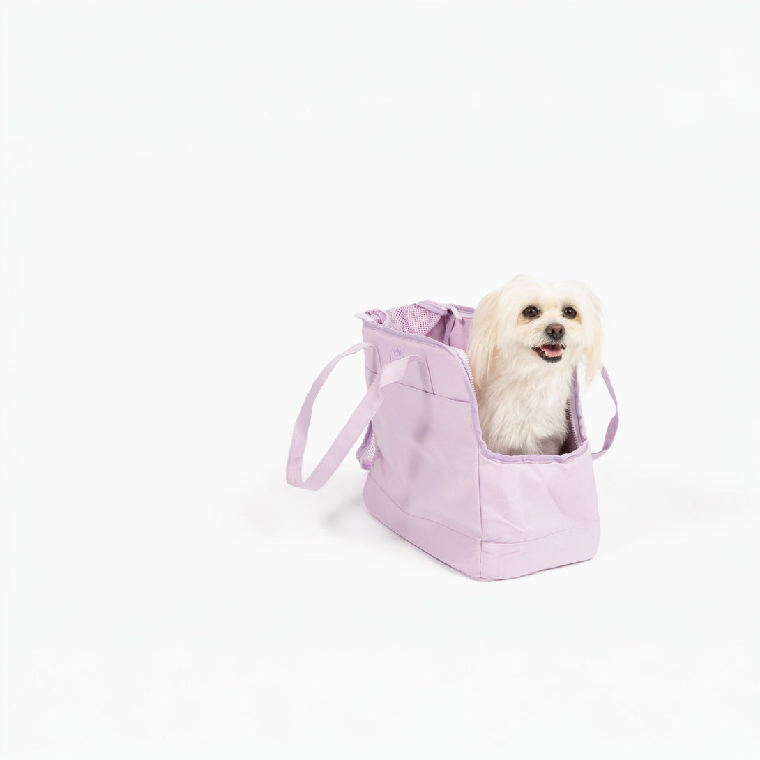 Come Here Buddy Pet Tote Bag – Pet Carrier by Come Here Buddy