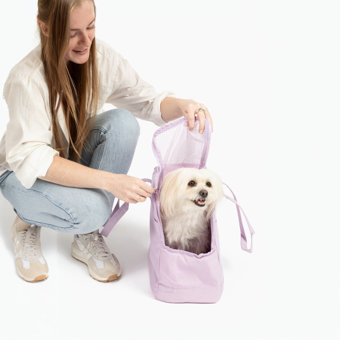Come Here Buddy Pet Tote Bag – Pet Carrier by Come Here Buddy
