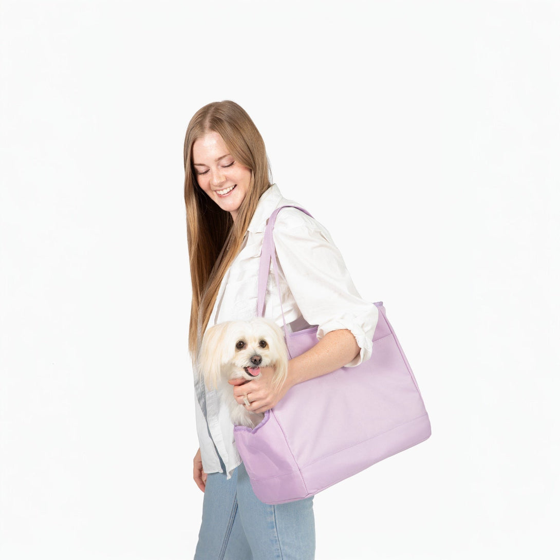 Come Here Buddy Pet Tote Bag – Pet Carrier by Come Here Buddy