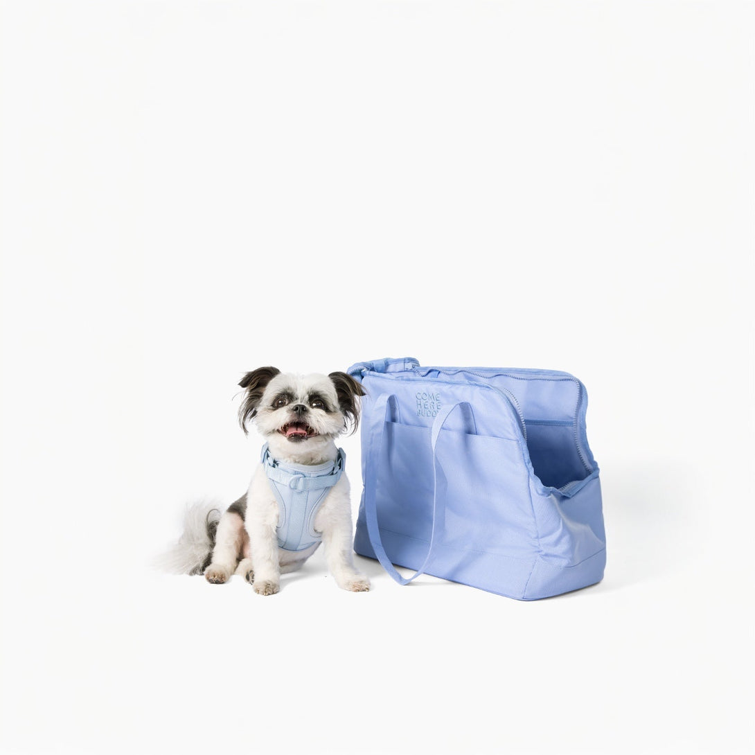 Come Here Buddy Pet Tote Bag – Pet Carrier by Come Here Buddy