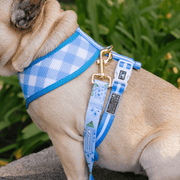 Comfort Dog Leash - Hydrangea – Dog Leashes by Frenchie Bulldog