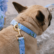 Comfort Dog Leash - Hydrangea – Dog Leashes by Frenchie Bulldog