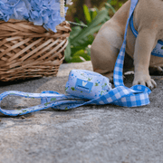 Comfort Dog Leash - Hydrangea – Dog Leashes by Frenchie Bulldog