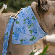 Comfort Dog Leash - Hydrangea – Dog Leashes by Frenchie Bulldog
