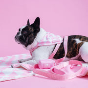 Cooling Dog Bandana - Pink Bubblegum Checkered – Bandanas & Neckwear by Frenchie Bulldog