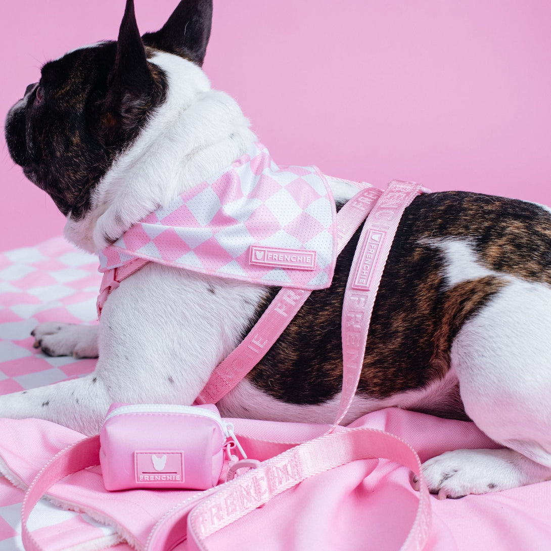 Cooling Dog Bandana - Pink Bubblegum Checkered – Bandanas & Neckwear by Frenchie Bulldog
