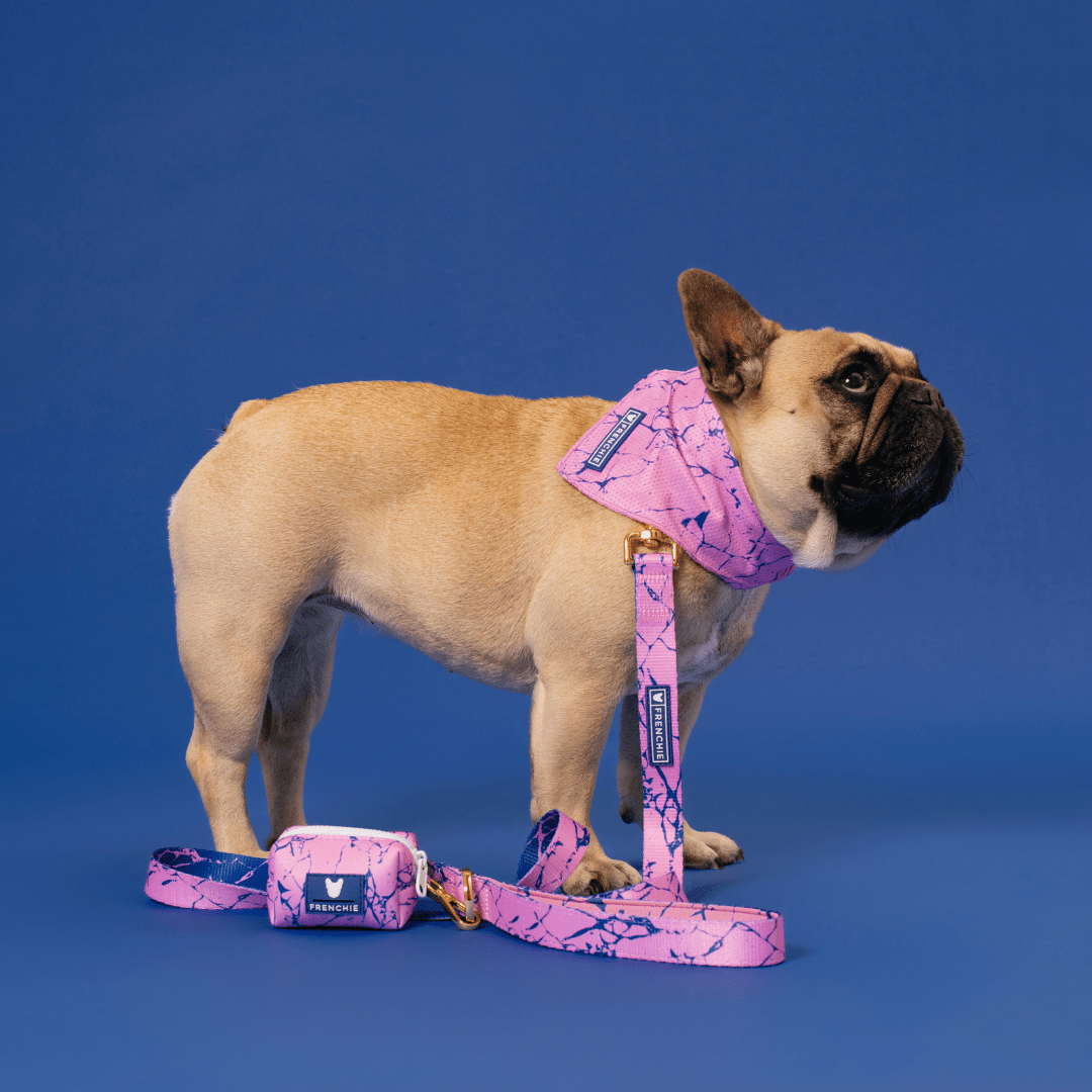 Cooling Dog Bandana - Pink Marble – Bandanas & Neckwear by Frenchie Bulldog