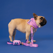 Cooling Dog Bandana - Pink Marble – Bandanas & Neckwear by Frenchie Bulldog