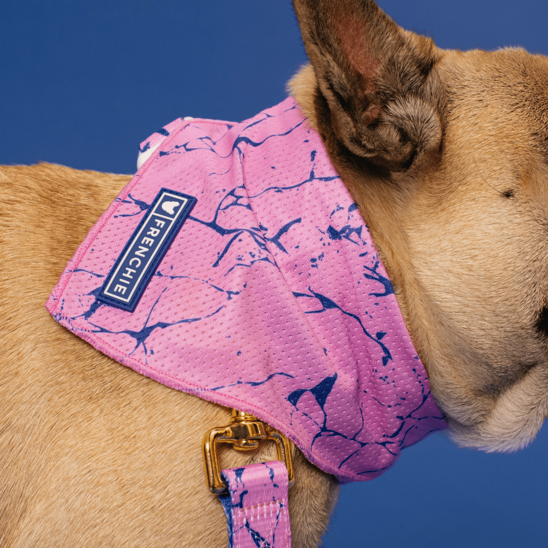 Cooling Dog Bandana - Pink Marble – Bandanas & Neckwear by Frenchie Bulldog