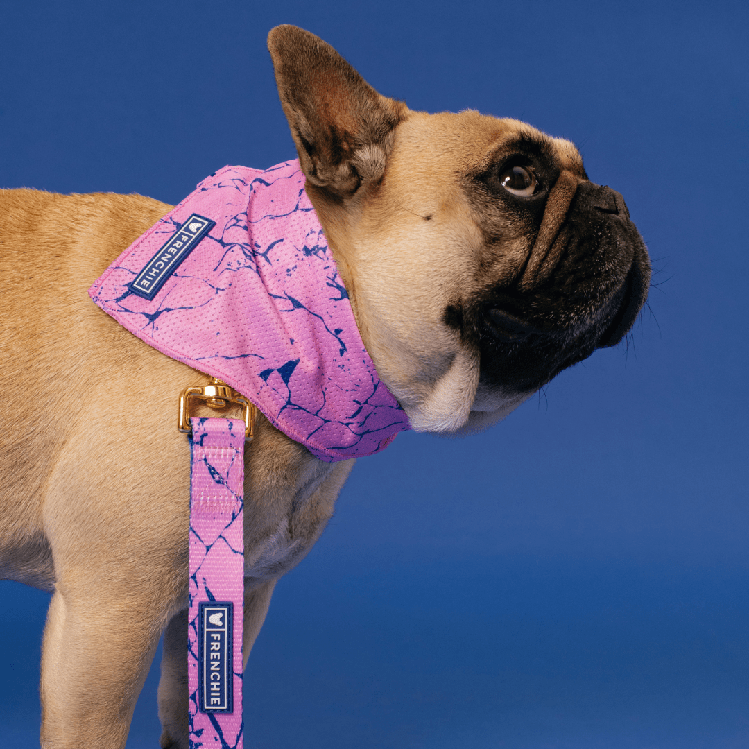 Cooling Dog Bandana - Pink Marble – Bandanas & Neckwear by Frenchie Bulldog