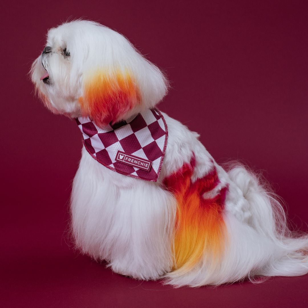 Cooling Dog Bandana - Ruby – Bandanas & Neckwear by Frenchie Bulldog