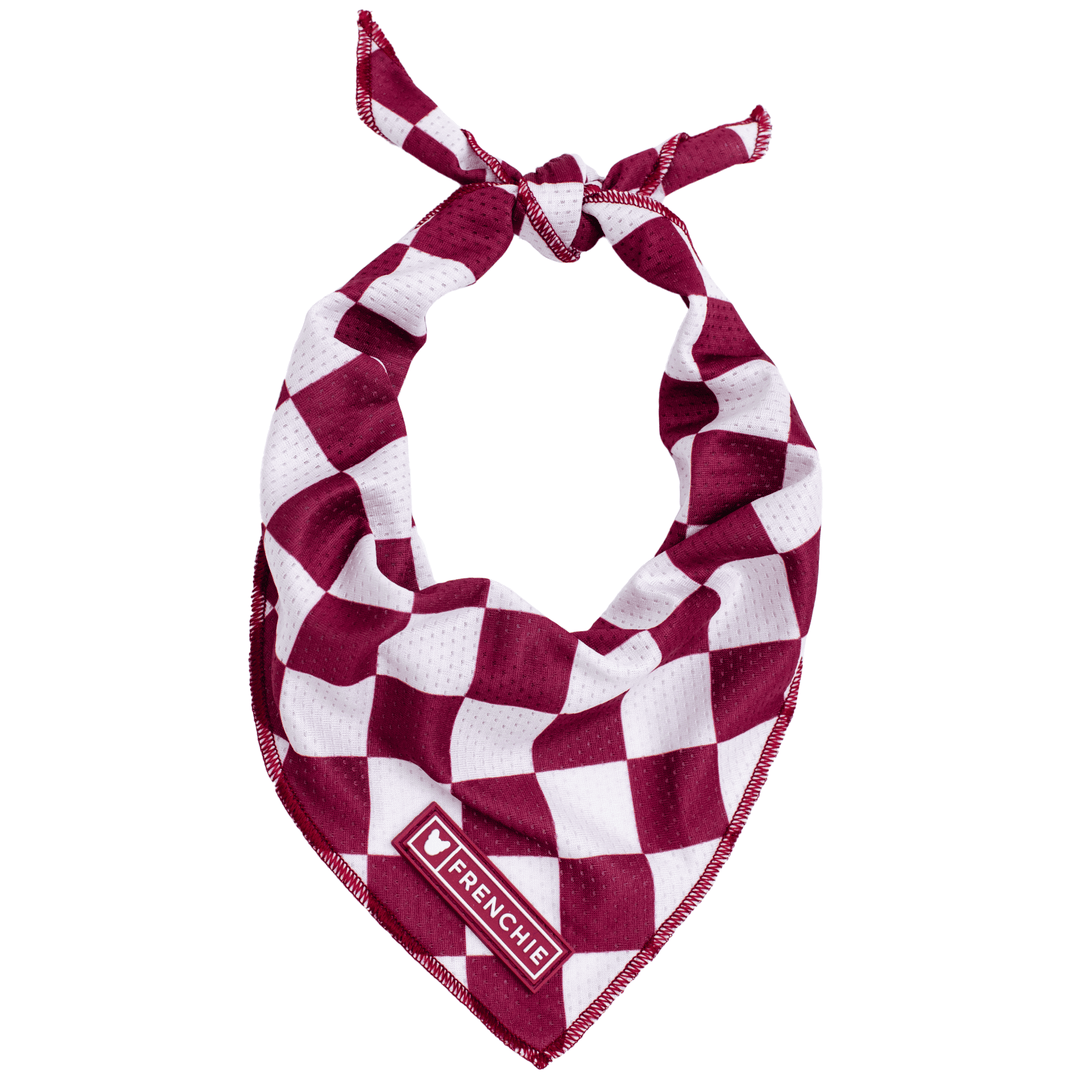 Cooling Dog Bandana - Ruby – Bandanas & Neckwear by Frenchie Bulldog
