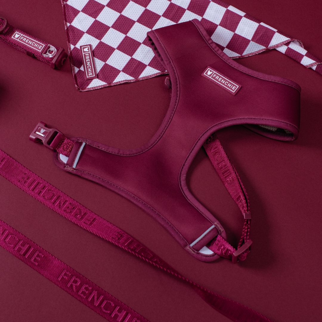 Cooling Dog Bandana - Ruby – Bandanas & Neckwear by Frenchie Bulldog