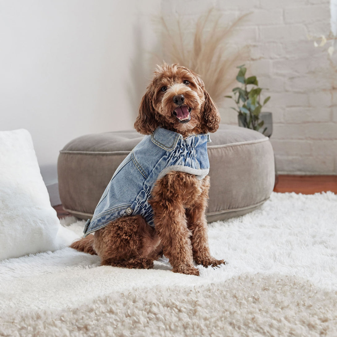 Denim Dog Jacket All Season - Light Wash – Jackets & Coats by GF Pet.us