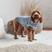 Denim Dog Jacket All Season - Light Wash – Jackets & Coats by GF Pet.us
