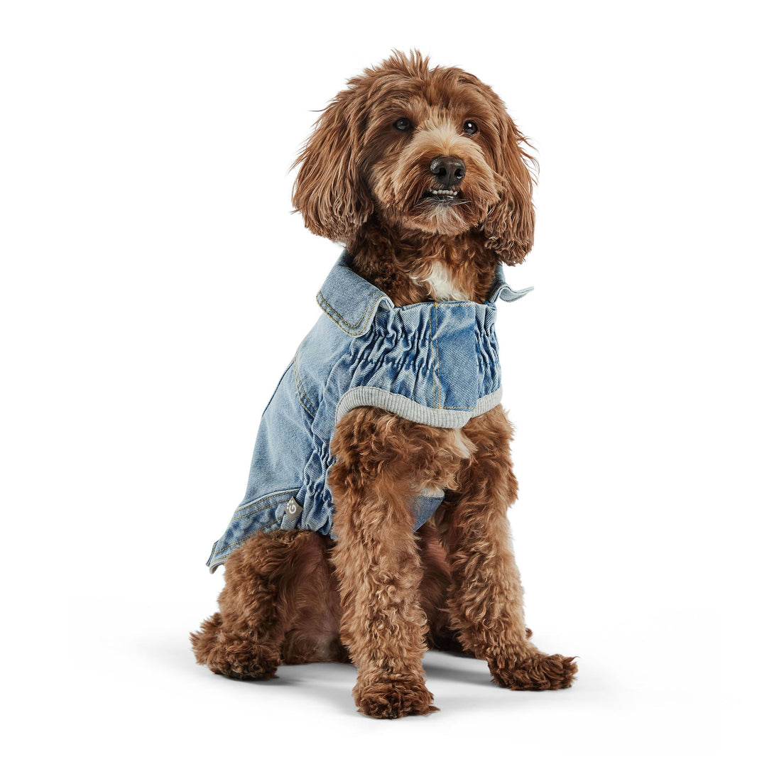 Denim Dog Jacket All Season - Light Wash – Jackets & Coats by GF Pet.us