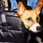 Destination Dog Carrier Tote Travel Bag - Limited Edition. – Pet Carriers by JUST FRED.